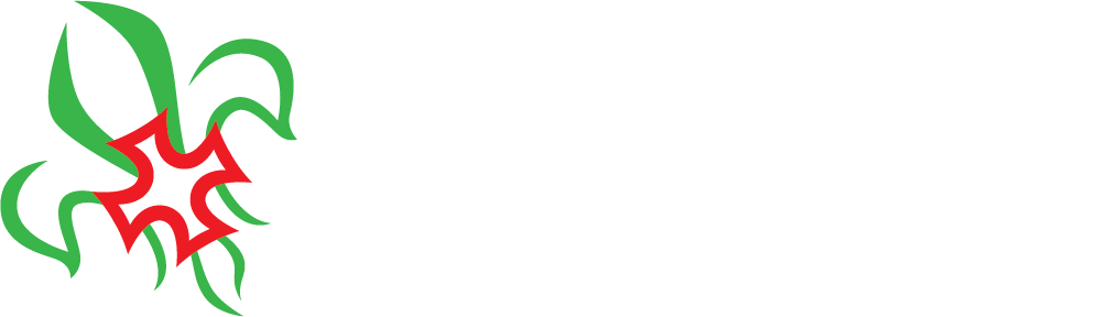 Núcleo Beira Mar